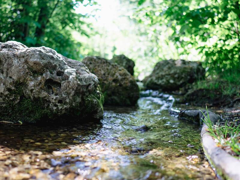 Ein klarer Bach fließt zwischen großen, moosbewachsenen Felsen durch eine grüne Waldlandschaft.