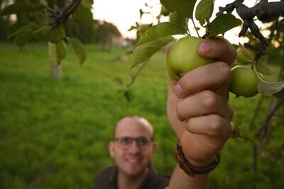 Eine Person hält einen grünen Apfel an einem Baum, mit einem verschwommen sichtbaren Lächeln im Hintergrund.