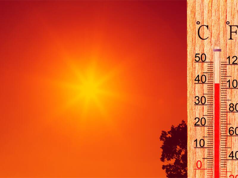 Ein Thermometer zeigt hohe Temperaturen bei einem Sonnenuntergang mit orangefarbenem Himmel und silhouettehaften Bäumen im Vordergrund.
