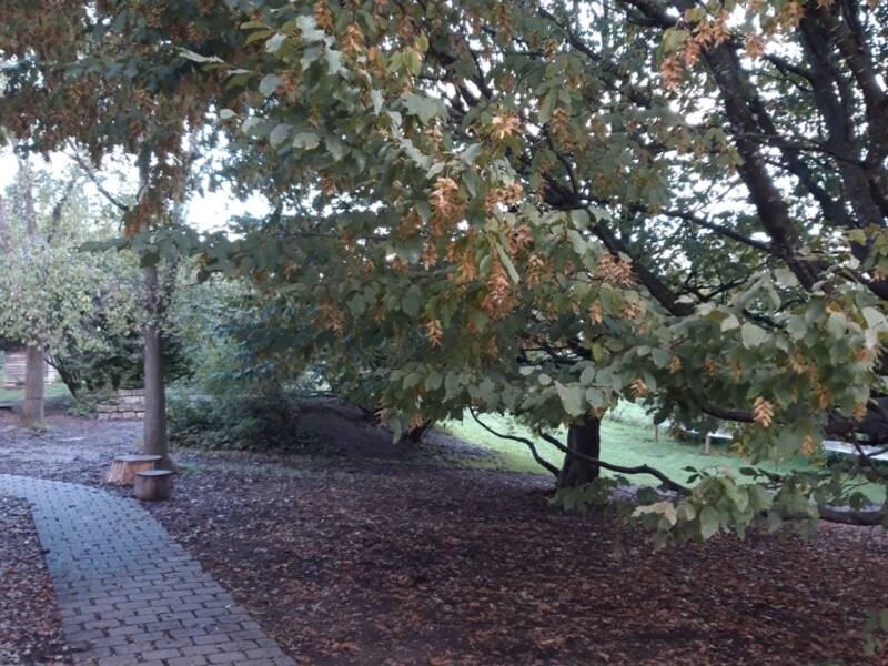 Garten des Kindergarten Burg Sonnenstein in Bad Aibling.
